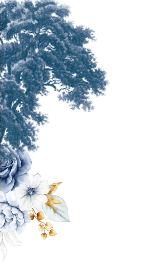 frame