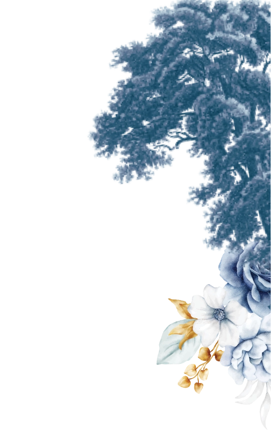 frame