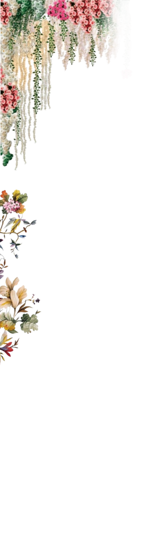frame